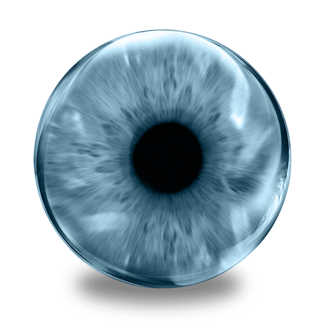 Intraocular Lenses