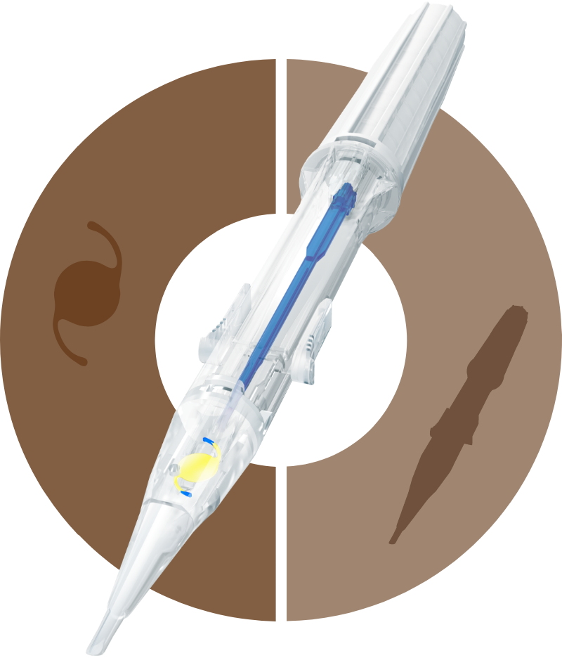 Hoya Surgical Optics ezSert