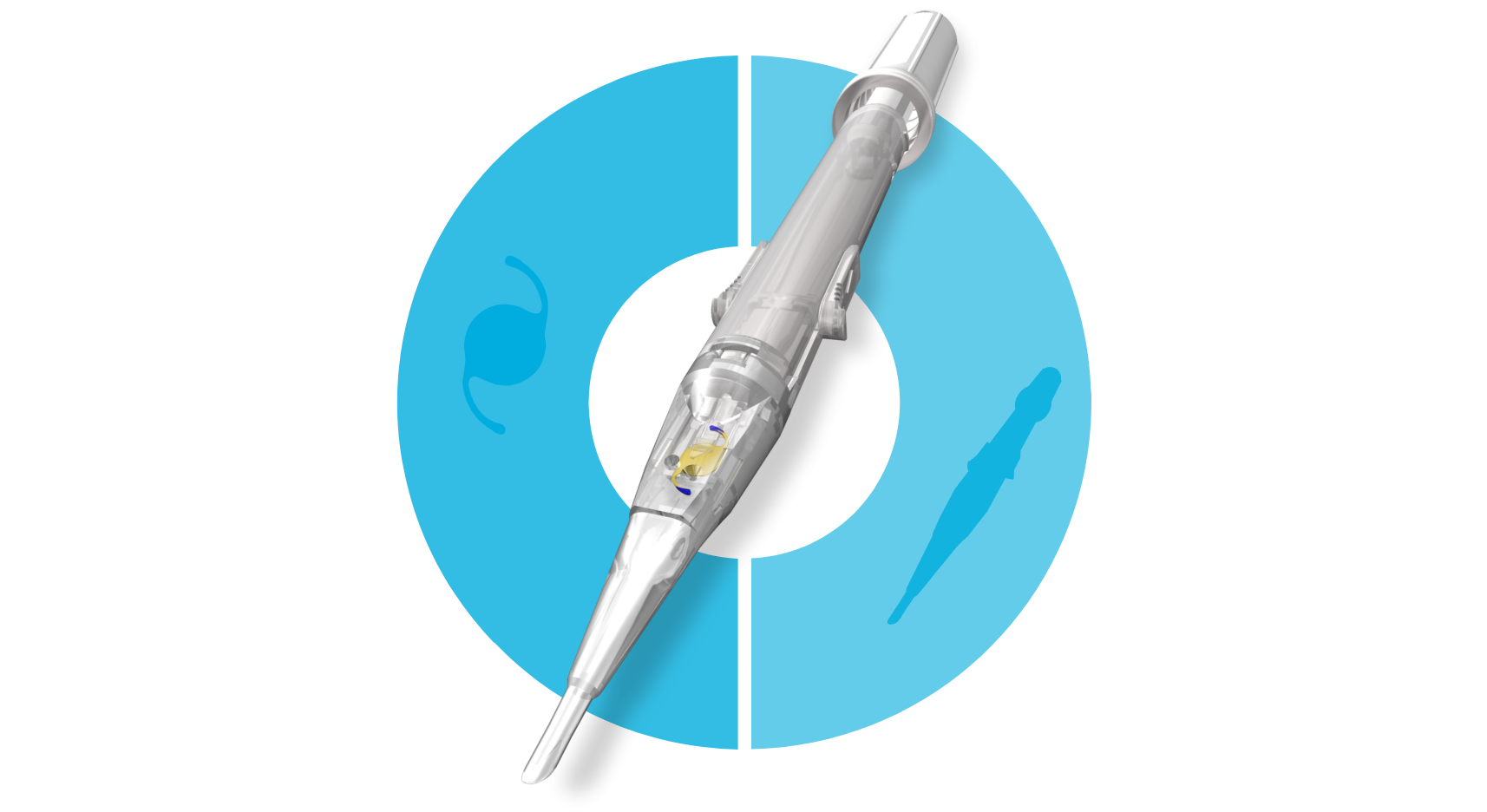 Hoya Surgical Optics iSert
